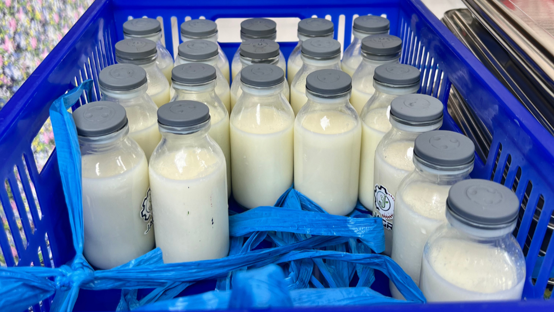 Penjelasan BGN Lebong Soal Manfaat Susu Sebagai Pelengkap Gizi Anak